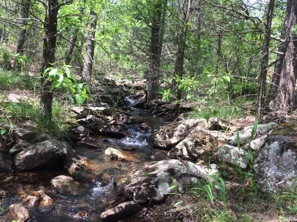 (undisclosed Address), Delaware, AR 72835