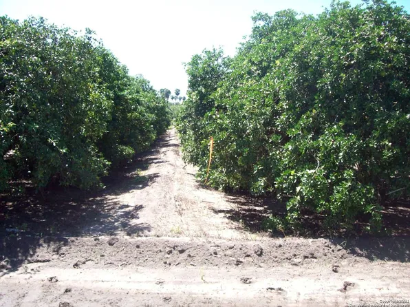 TBD N White Ranch Road LOT 20 AC, La Feria, TX 78559