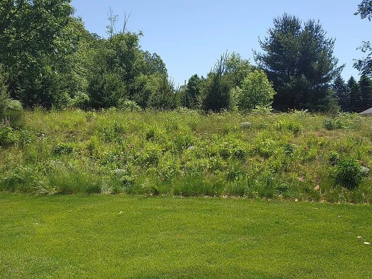 433 E Sleights Rd — Photo 13
