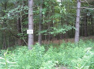 776 Hunt Rd, Afton, NY 13730