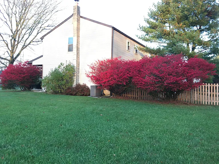 Large corner lot with fenced in back yard. This side lot is also part of the property.