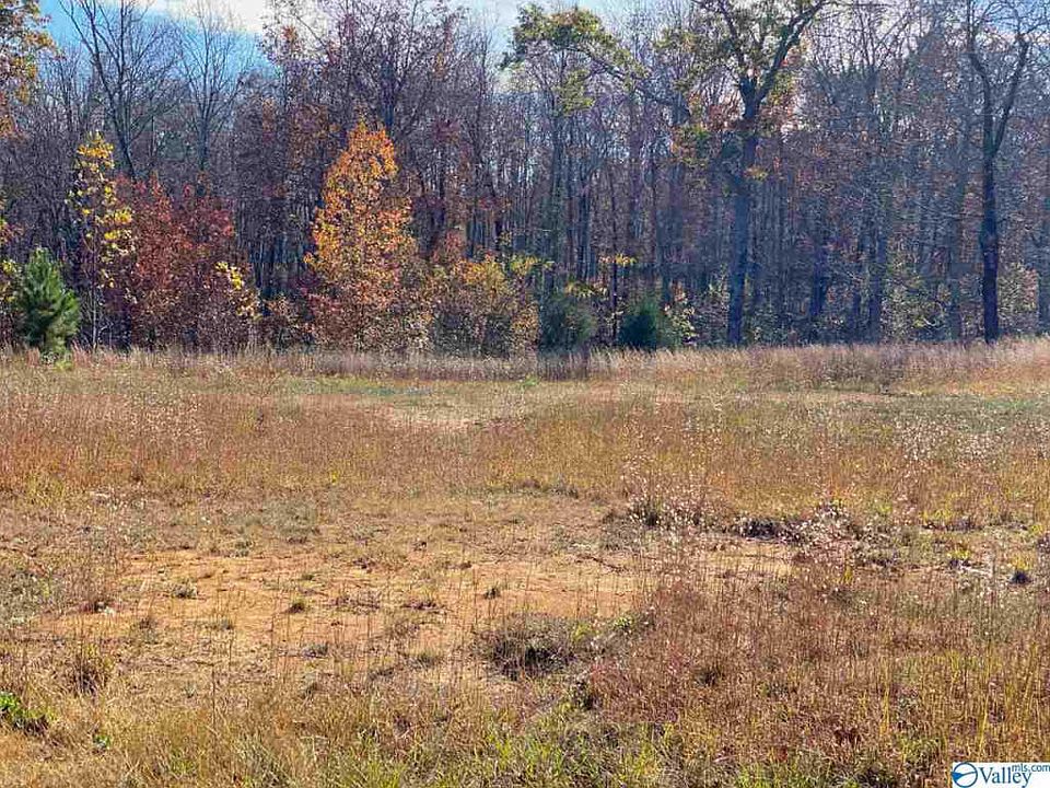 2nd image of 133 Mountain Oaks Dr