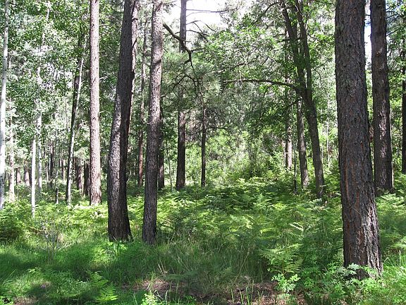 near north edge