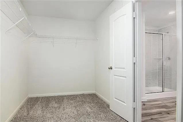 3039 Boran Dr — Photo 9