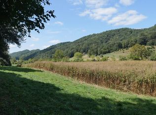 Shoals Ln, Hiltons, VA 24258