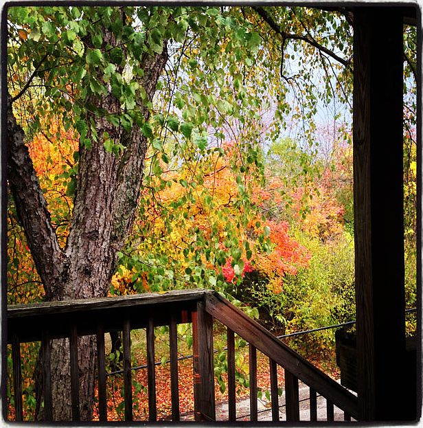  View from 2nd floor