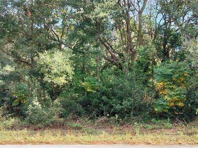 973 N Maynard Ave #3, Lecanto, FL, 34461