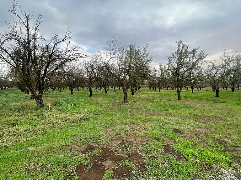 3095 Chico River Rd — Photo 25