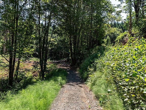 2nd image of Armstrong Rd #101