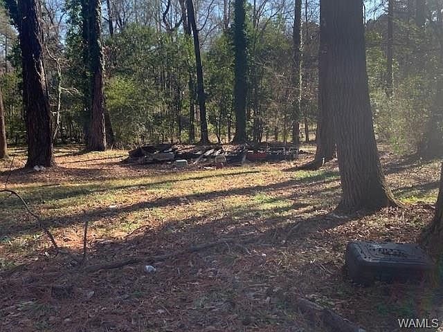 2nd image of 4403 Virginia Dr
