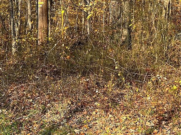 4th image of Shooktown Rd