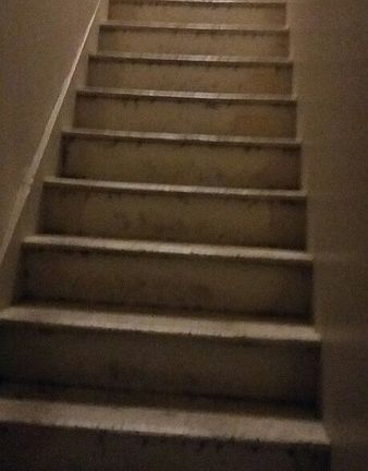 5th image of 1109 Bradford Ave