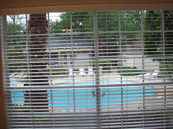 3rd image of 3550 Country Square Dr APT 211