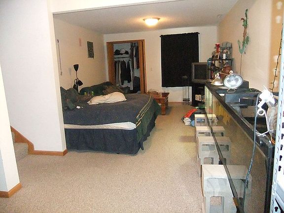 basement has large room with two large closets