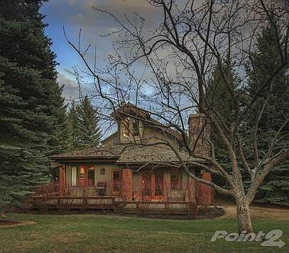 404 Cayuse-8028-Edit
