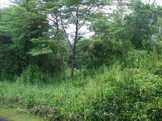1st image of Pohaku Cir Lot 8295