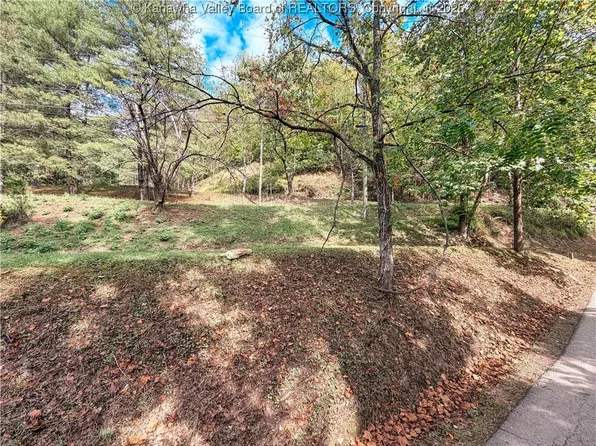 469 Tims Fork Rd, Chapmanville, WV 25508