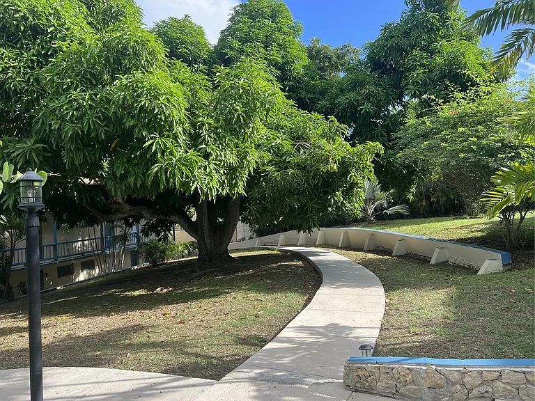 51 Orange Grove Rd — Photo 17