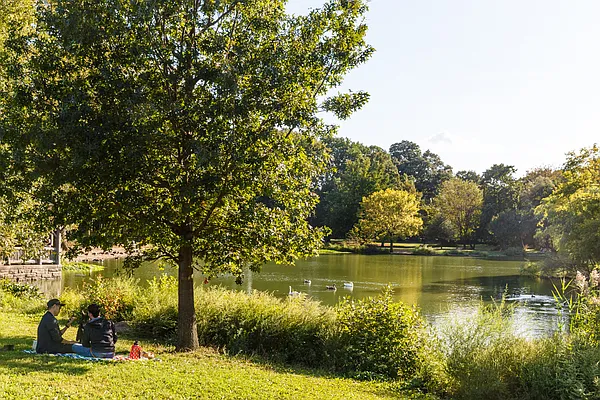 Sold by MNS | media 19