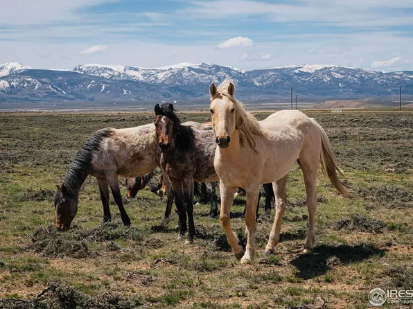 Jackson County Road 26, Walden, CO 80480