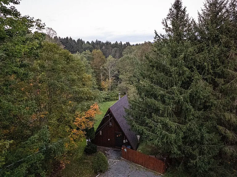 Window View