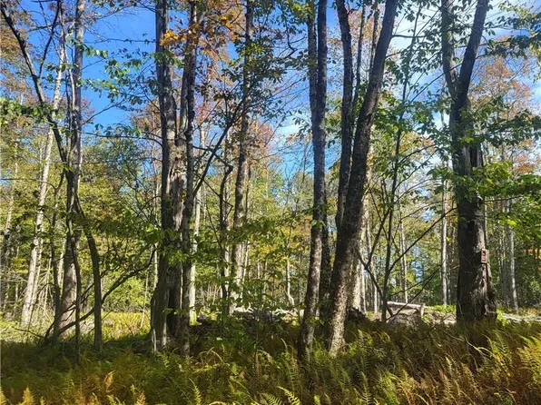 000 Benton Hollow Road, Liberty, NY 12758