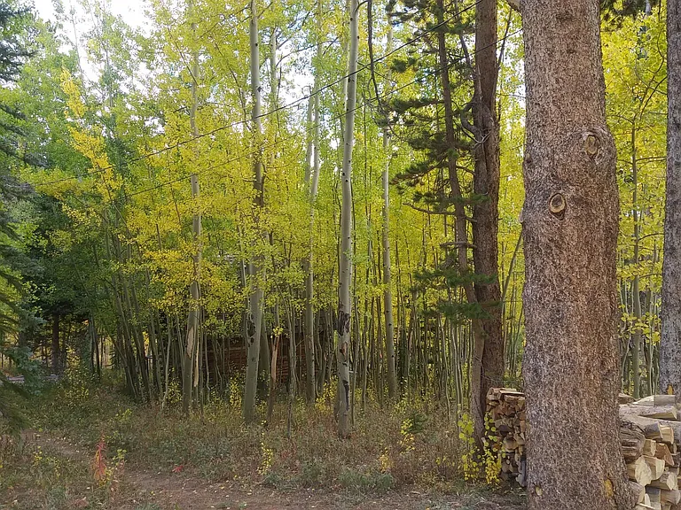 38 Skicrest Ln #CABIN — Photo 14