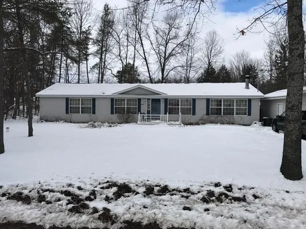 6920 Maplewood Rd, Indian River, MI 49749