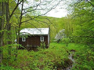 91 Lintz Rd, Treadwell, NY 13846