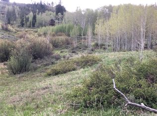 22608 Commanche Rd, Oak Creek, CO 80467