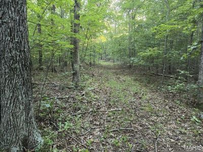 0 Dusty Rd, Cadet, MO, 63630