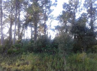 6043 Pecan Cir, Labelle, FL 33935