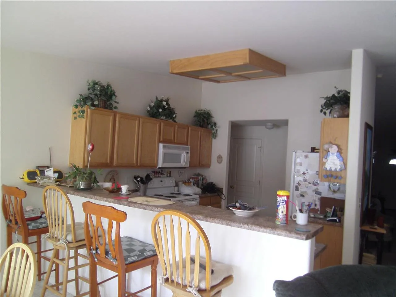 1335 White Bluffs Cir photo 1