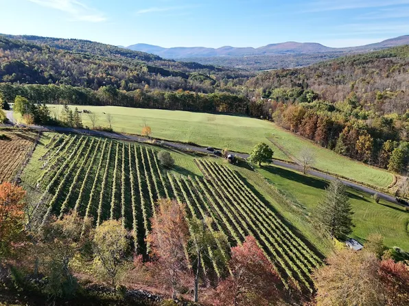 00WP Travis Hill Rd Lot Wp001, Preston Hollow, NY 12469