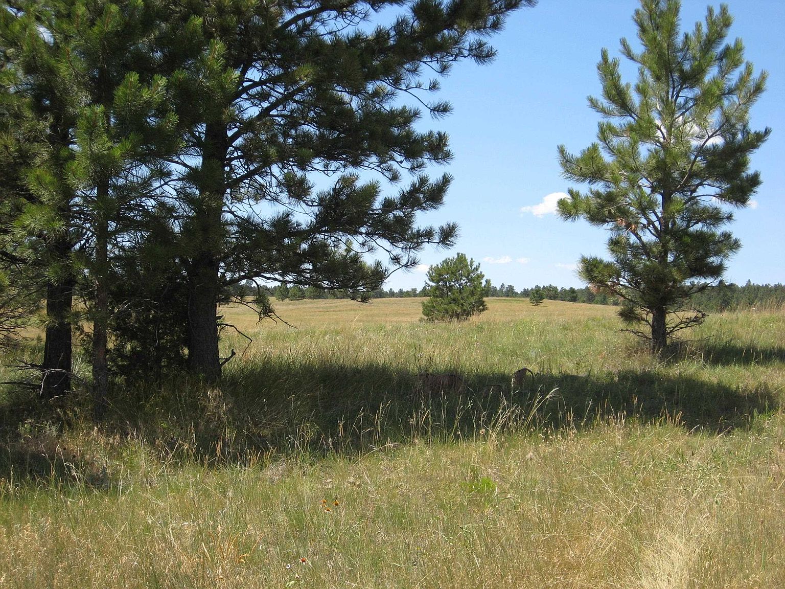 Mower Rd, Hot Springs, SD 57747 MLS 75086 Zillow