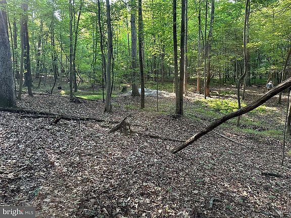 4th image of 16418 Cedar Grove Rd