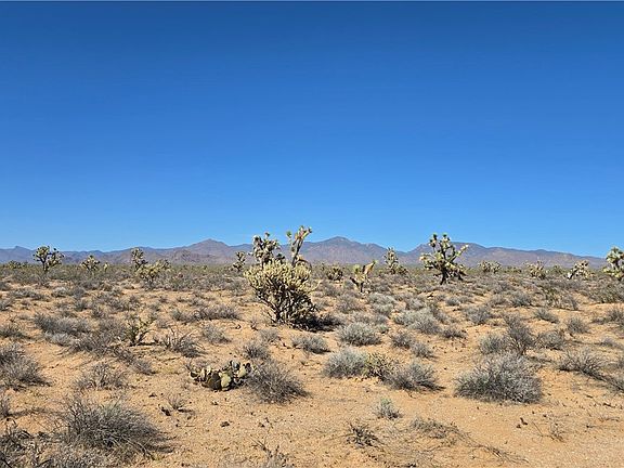 3rd image of 223-30-009 S Sundance Kid Road