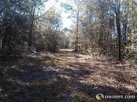 1st image of 74 Hog Wild Ln