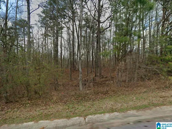 389 Shelby Springs Farms #46, Calera, AL 35040