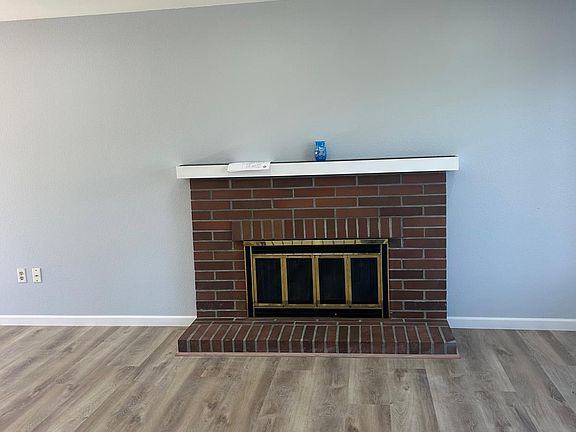 Living room fireplace