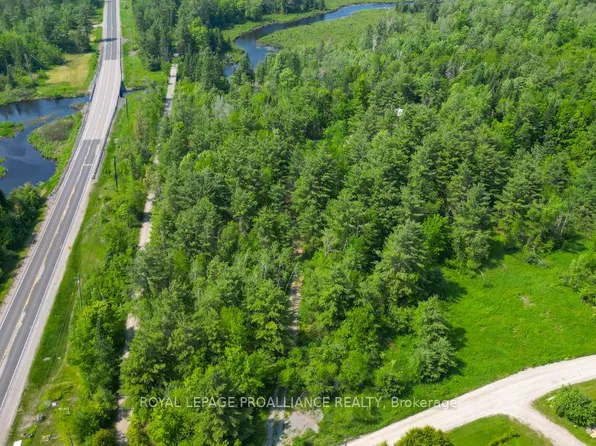 4 Wolf Lake Rd, Madoc, ON K0K 1Y0
