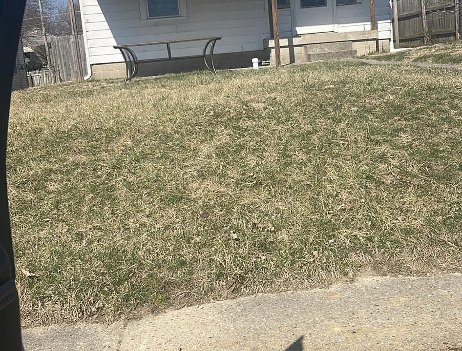 4536 Young Ave