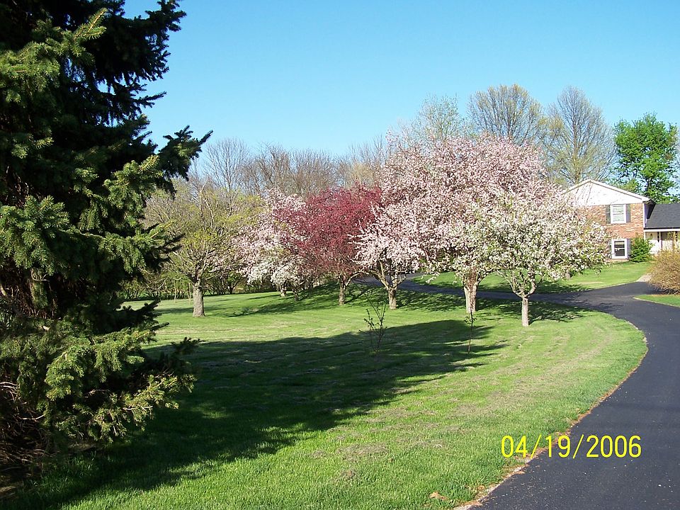 Beautiful Spring Blooms!!