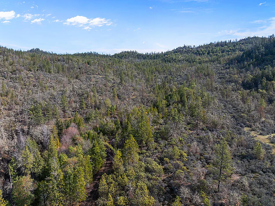 Indian Creek Rd photo 1