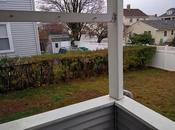 The view from the back porch