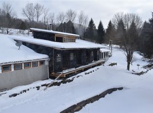 428 Basin Clove Rd, Hamden, NY 13782