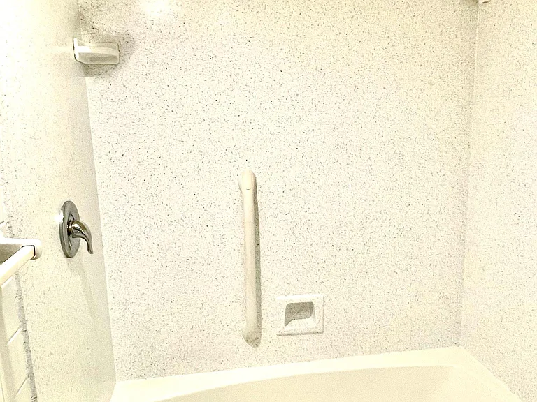 Comfortable tub/ shower with grab bar for safety