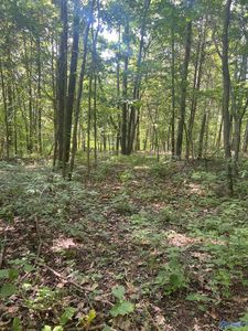 1A Burwell Rd, Harvest, AL, 35749