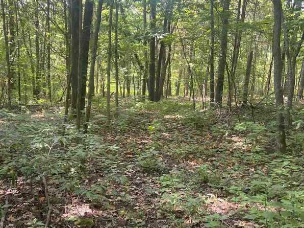 1A Burwell Rd, Harvest, AL 35749