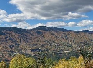 26 Mount Will Dr, Newry, ME 04261
